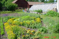 orangeriet-045
