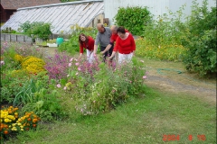 orangeriet-049