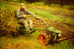 orangeriet-061