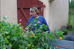 orangeriet-064