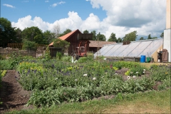 orangeriet-20140717-036