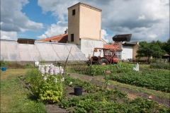 orangeriet-20140717-042