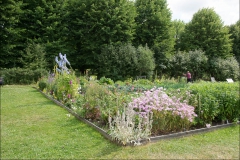 orangeriet-20140717-059