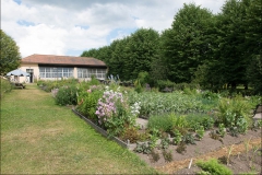 orangeriet-20140717-060