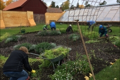 orangeriet-20181011-008