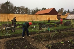 orangeriet-20181101-004