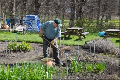 orangeriet-20160503-004