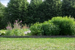 orangeriet-20160802-017