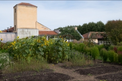 orangeriet-20160906-011