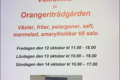 slottsmassan-oktober-003