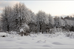 orangeriet-20121223-002