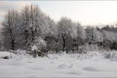 orangeriet-20121223-002