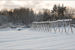 orangeriet-20121223-009