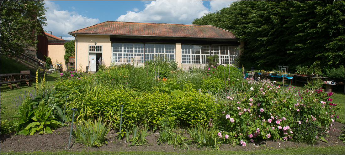 orangeriet-20150714-012