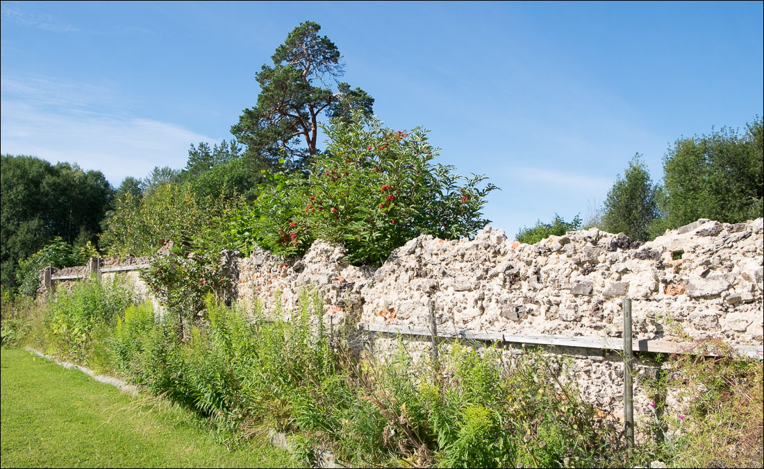 orangeriet-20150725-012