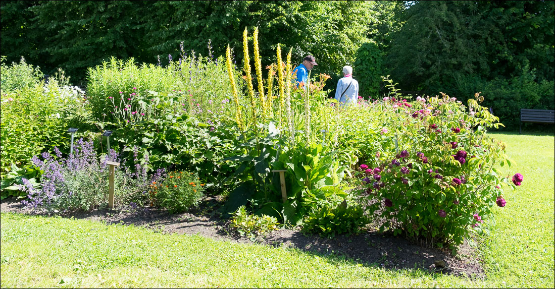 orangeriet-20150725-018